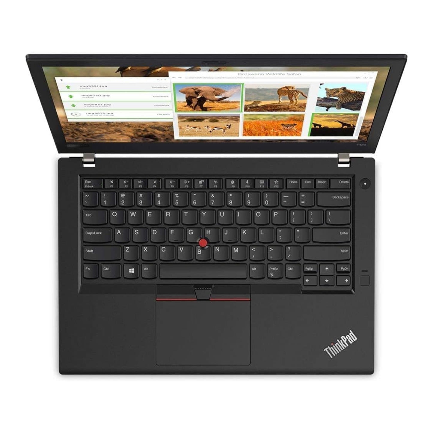 Lenovo ThinkPad T480 14" FHD Business Laptop, Intel Core i5-8250U, 16GB DDR4 RAM, 512GB SSD, CAM, Fingerprint Reader,Backlit Keyboard,Windows 10 Pro 64-bit | One year warranty (Renewed)